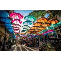 Full Day Private Guided Tour Of North Mauritius