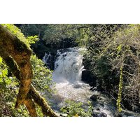 Pedal to waterfall in the backyard