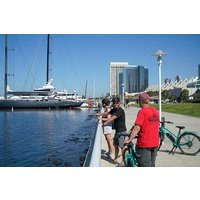 Private San Diego eBike Tour