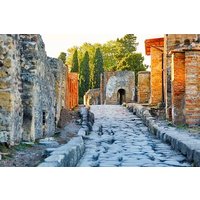 Full Day Private Tour Naples to Sorrento and Pompeii