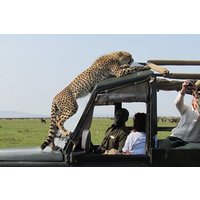 5 Day Samburu and Masai Mara Flying Safari