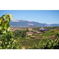 Vineyard Voyage : Private Tour für Weinliebhaber von Bilbao nach Rioja