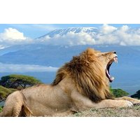 2 Days 1 Night Safari Amboseli National Park