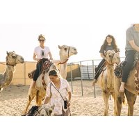90 Minutes Guided Cultural Camel Riding in Dubai