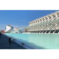 Von Albir, Benidorm & Calpe : Tagesausflug Valencia City