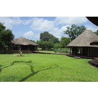 10-Hour Private Tour to Fathala Game Reserve