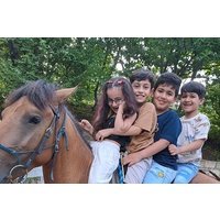 Private Cowboy Roundpen Experience in Azerbaijan