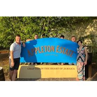 Appleton Rum Estate, Black River Safari & Pelican Bar Private tou