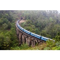 Private Tour Ella with Train Ride & Tea Plantation