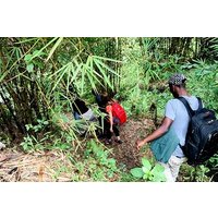 Hiking Binana Mountain & Waterfalls in Rwanda