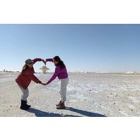 White & Black Desert Marvels and Bahariya Oasis Tour One day