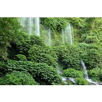 Best Lombok Monkey Forest with Benang Kelambu Waterfall