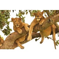 12 Day Pearl of Africa Nature And Wildlife Experience