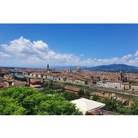 Florence Food Tour with Minivan