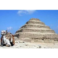 Private Multi Day Tour Safari Adventures in Egypt Oasis