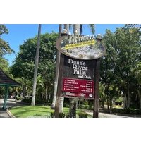 Private Dunn's River and Blue Hole Experience from Montego Bay