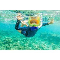 4 Hour Private Snorkeling Tour in Kona