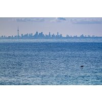 Private ONE-Way Transfer Niagara-on-the-Lake to Toronto Airport