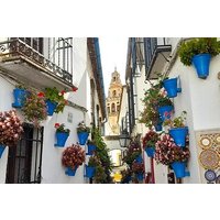 Private tour in Cordoba w/ hotel or shore pickup at Costa del Sol