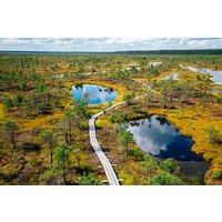 Private Tour zum Kemeri-Nationalpark und nach Jurmala ab Riga
