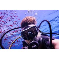 Scuba Dive and Explore Aqaba's Red Sea with a Private Guide