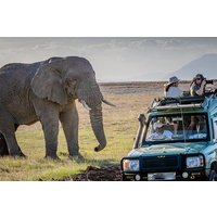 Amboseli National Park and Mount Kilimanjaro View Day Tour