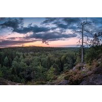 Private Tour of Nuuksio National Park Adventure by Car