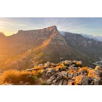 Guided Adventurous Table Mountain Hike Tour (Private Pickup)