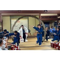 Luxury Toyokawa Inari Experience in Japan with dinner show