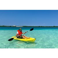 Clear kayak Grand Turk Island Kayak Tour of the mangroves