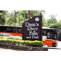 Kingston City Dunn's River Tours
