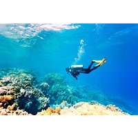 Mancora: Dive & Discover - Diving experience
