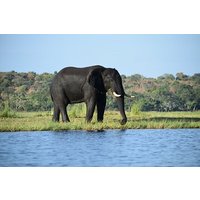 9 Day Safari Adventure Victoria Falls Chobe Okavango Delta