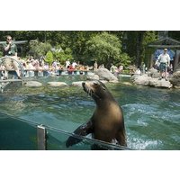 Central Park Zoo and 3hrs Manhattan Walking Tour
