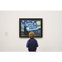Visit the Museum of Modern Art and Manhattan Walking Tour