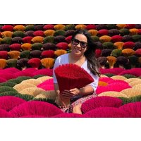 Incense Village Private Day Tour From Hanoi to Ninh Binh