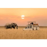6 Days Private Tanzania Midrange Safari Adventure