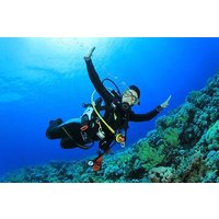 Tiran Island Trip, Snorkeling, Single Dive &Lunch–Sharm El Sheikh