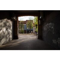 Explore the old Jewish parts of Vilnius with a Local