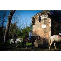 Discover Ancient Rome on Horseback