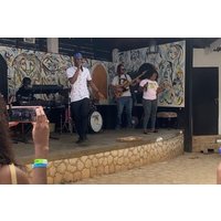 Bob Marley 9 Mile Tour and The Blue Hole Falls from Montego Bay