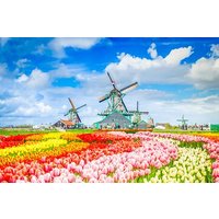 Private Tour to Zaanse Schans &Volendam: Cheese, Windmills, clogs