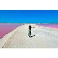 From Cancun: Safari in Rio Lagartos, Coloradas and Mayan Bath