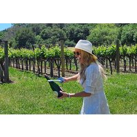 Private Sprinter Tour of Napa Valley