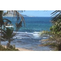 The Private Grand Island Tour Of Barbados
