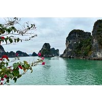 Bai Tu Long Bay 2 Days 1 Night Tour from Hanoi