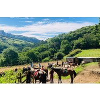 Explore Scenic Mountains and Horseback Riding