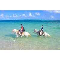 Shared horseback riding Punta Cana Beach