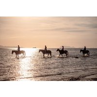 Scenic Sunset Horse Rides on the Beach in Koh Samui