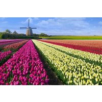 4 Hours Amsterdam Private Guided Tour with Roundtrip Transfer